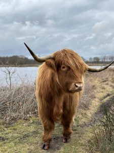 Zwarte gat-Drenthe