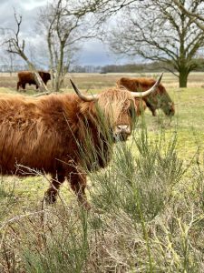 Zwarte gat-Drenthe