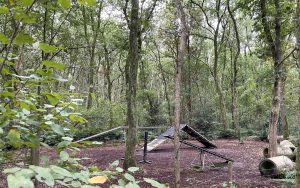 camping Klein Zwitserland-Hond vriendelijk