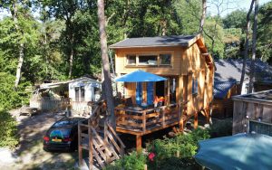 Camping Klein Zwitserland boomhur