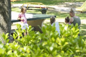 jaarplaatsen-camping klein Zwitserland-Drenthe