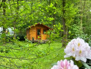 Kampeerplaatsen-trekkershut-camping klein Zwitserland-Drenthe