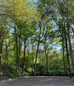 Kampeerplaatsen-trekkershut-camping klein Zwitserland-Drenthe