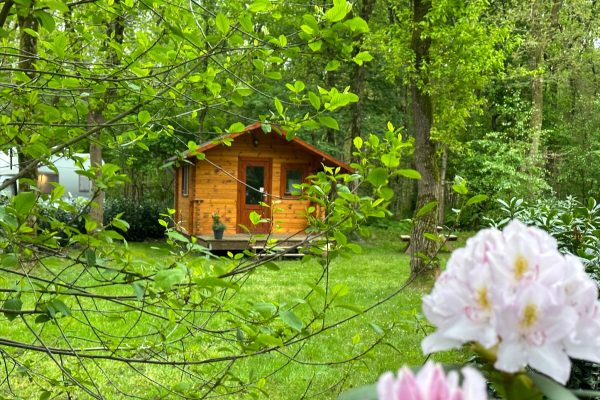 Kampeerplaatsen-trekkershut-camping klein Zwitserland-Drenthe